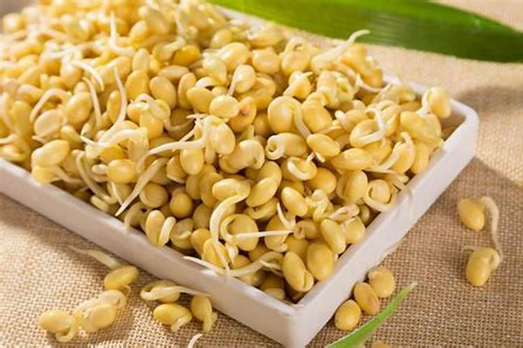 黄豆怎么做肥料