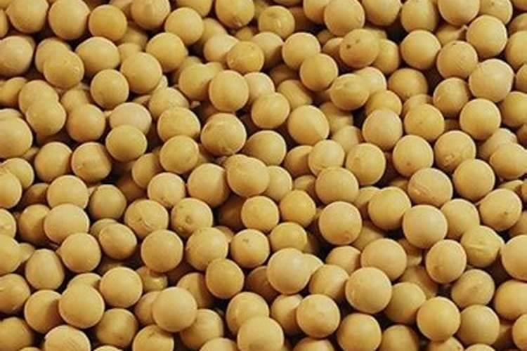 如何自制氮肥磷肥