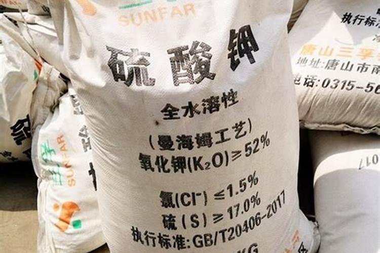 芒果用什么肥料能快速成长？施肥几次？