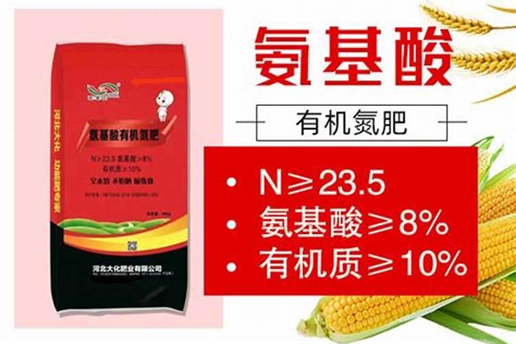 底肥怎样施才能达到最佳效果