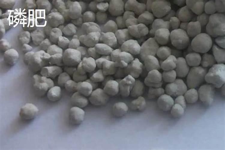 颗粒硼肥什么牌子的好