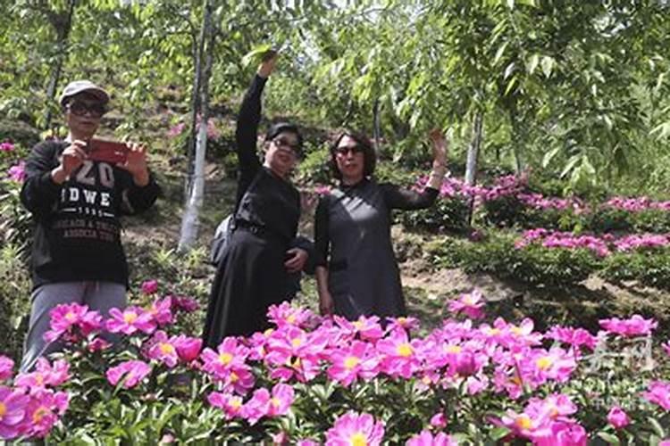 益施帮叶面肥最大用量是多少