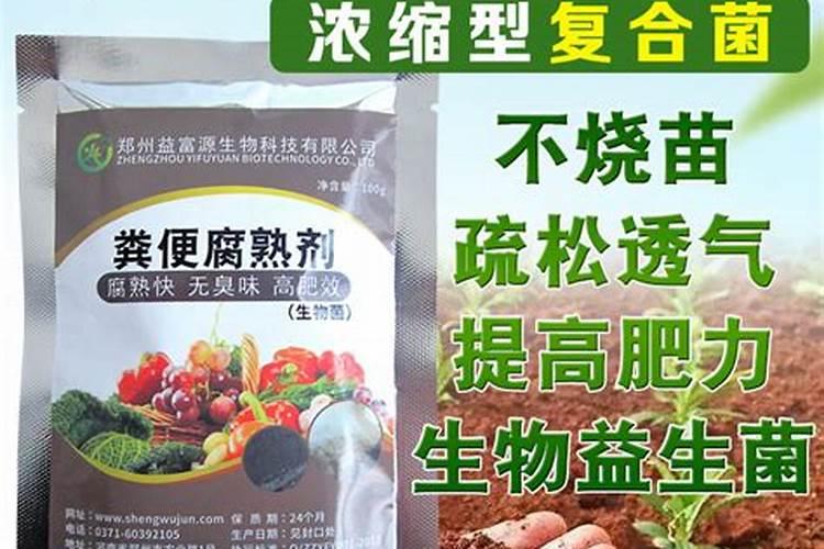 玉兰花是什么颜色