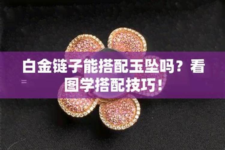 多肉玉坠如何爆盆