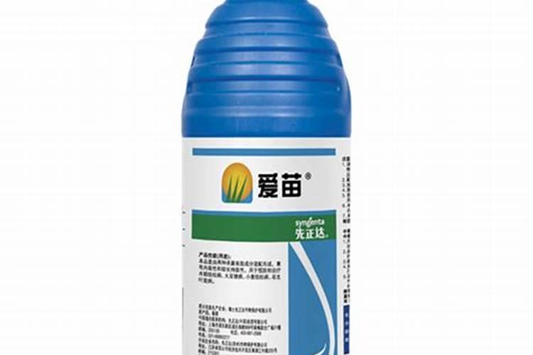 先正达爱苗多少钱