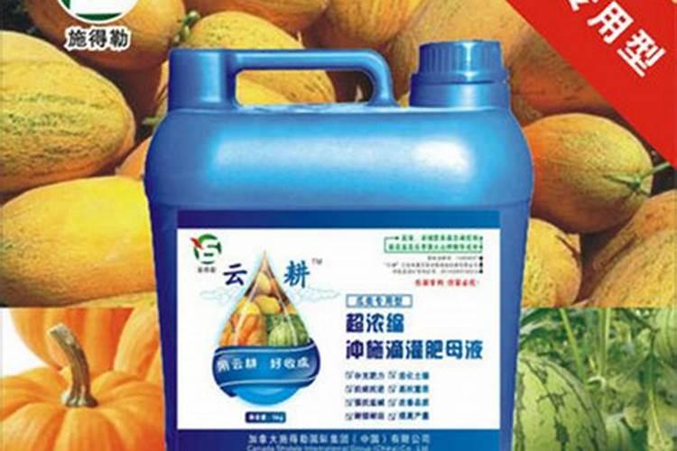 丝瓜花很多,到最后结果并不多,怎么落花落果这么严重？