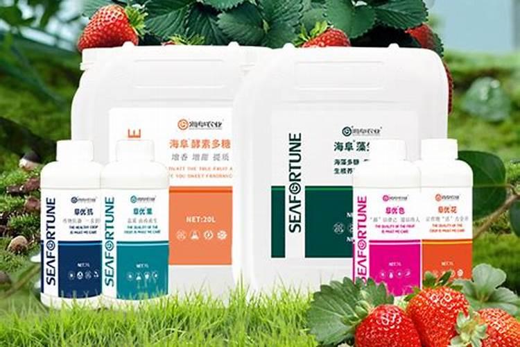 碱性肥料有哪些