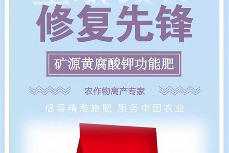 种完大蒜什么时候浇水