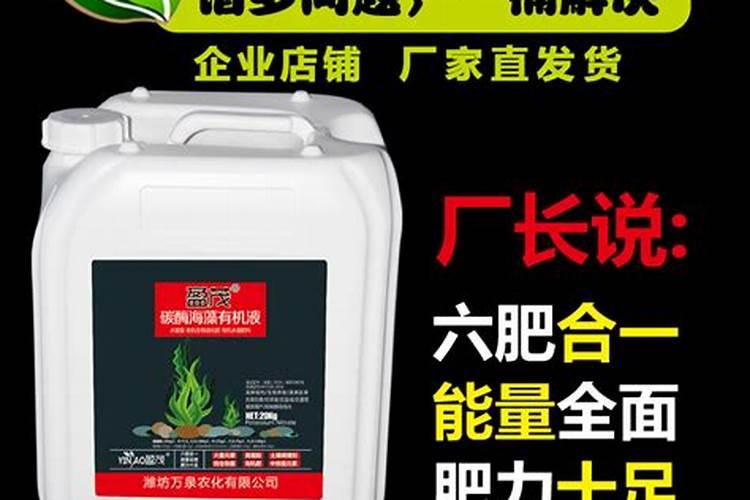 鱼的热量是多少呀？