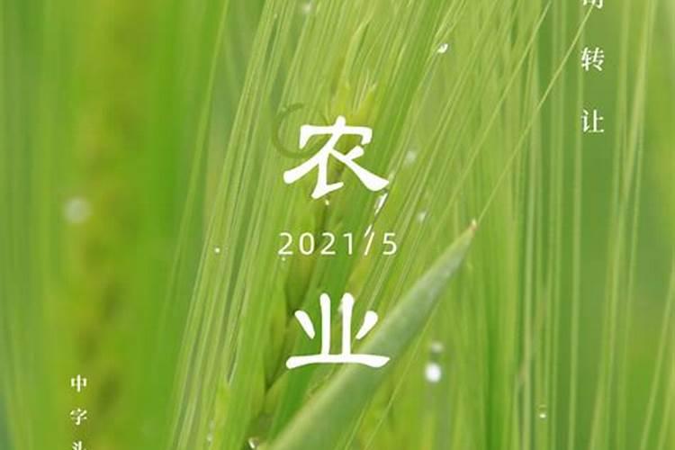 纯硫基复合肥缺点