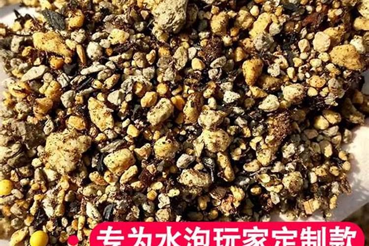 金钱桔如何种植 第5次施肥在现果期