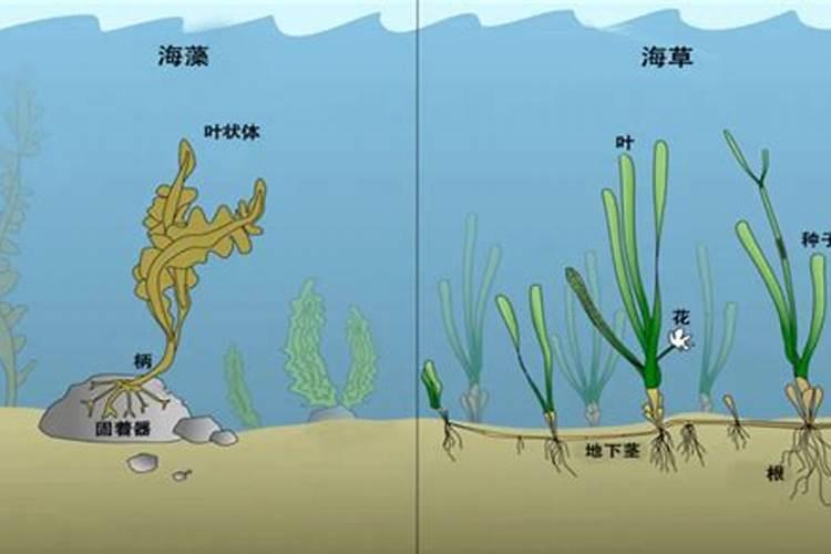 总氮超标了应该用什么方法来处理？