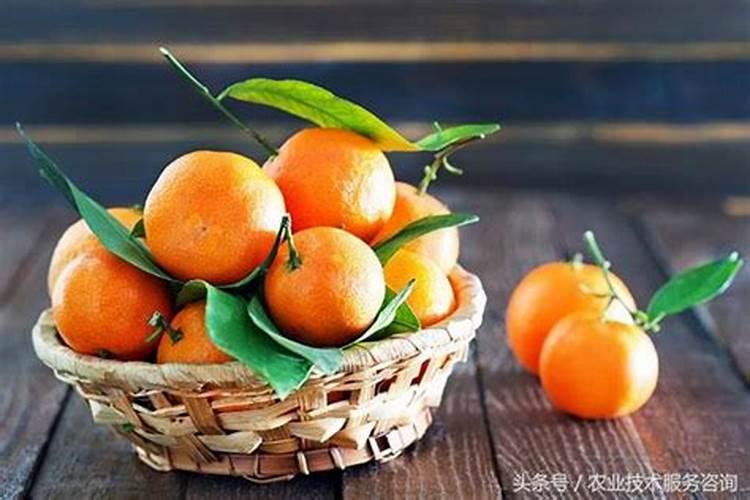 槟榔开花了可以放什么肥