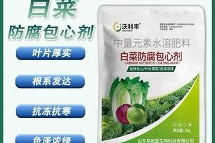 白菜移栽后多久可以施肥