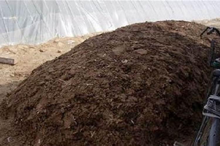 土壤中怎样施用钙肥——石灰和石膏？