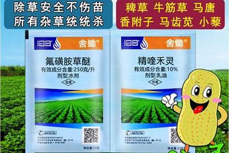 大白菜最适合用什么肥做追肥