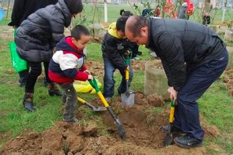油菜什么时候喷施硼肥