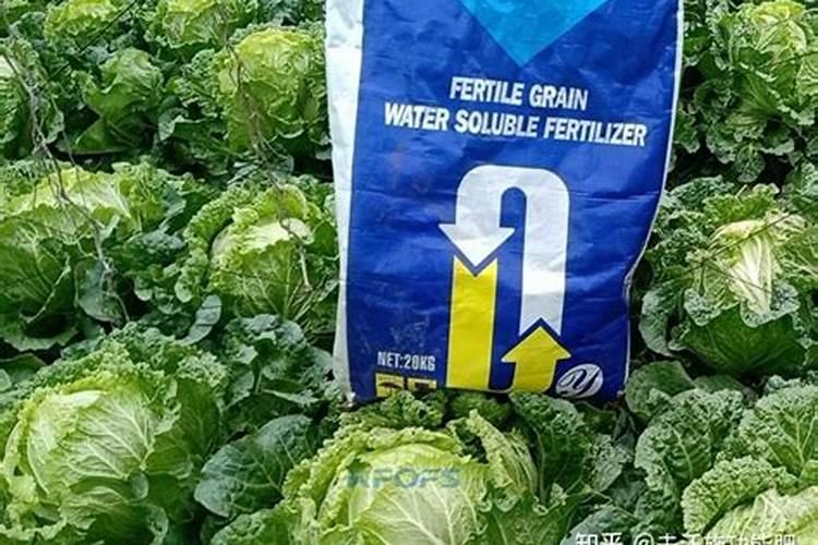 一颗番茄一次施磷酸二氢钾多少克