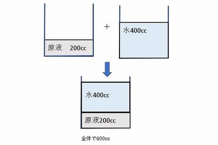 君子兰如何追肥干净卫生又省事