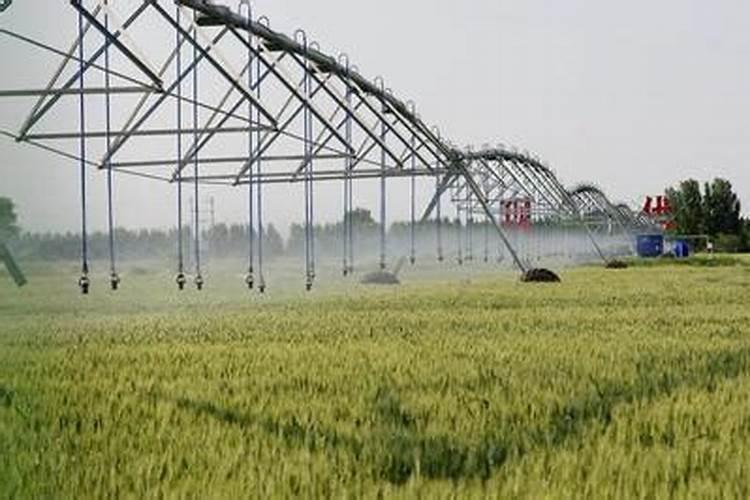 磷酸一铵和磷酸二铵区别