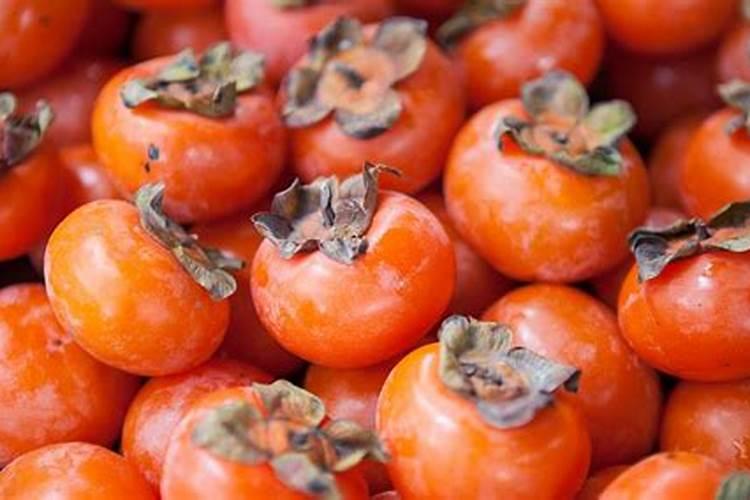 怎么给兰花施肥