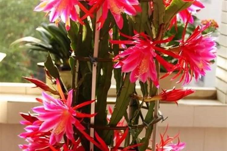 有哪些非常值得一读的散文作品呢？