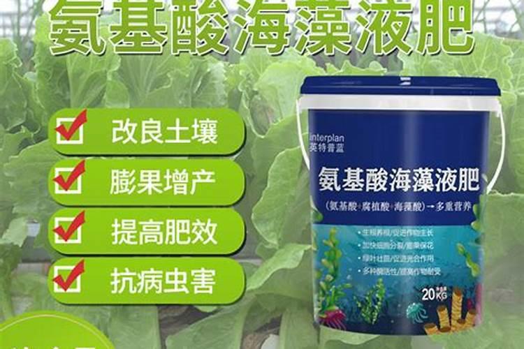 海藻肥属于什么肥料,附使用方法