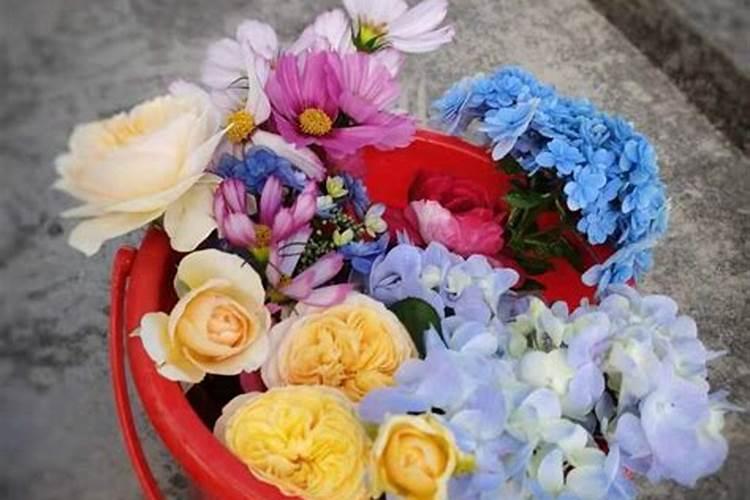 雨前还是雨后施肥好。比如雨后有太阳可以施肥吗？