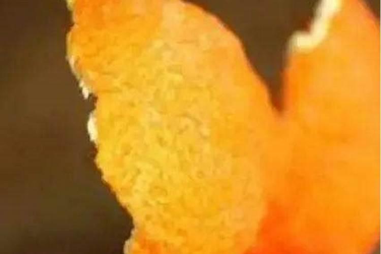 玉米种子十大品种