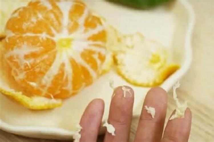 木耳菜可以水培吗