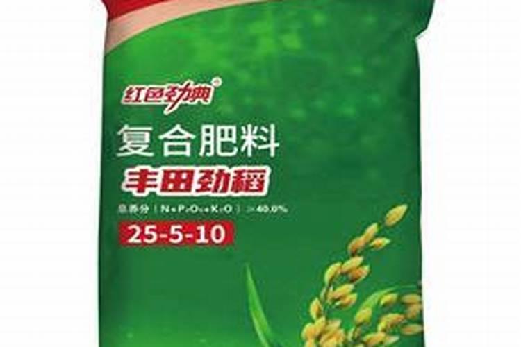 水培蔬菜有哪些品种 适合在家里水养的蔬菜