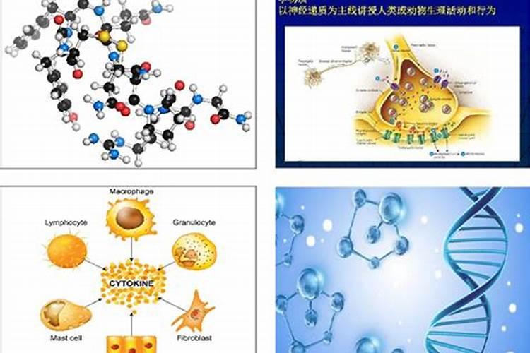 种石斛需什么肥料？施肥方法