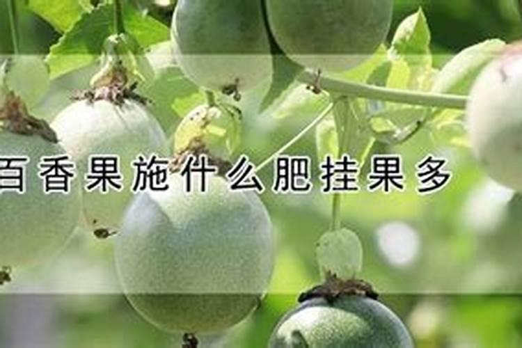 百香果花期要施什么肥才能结果