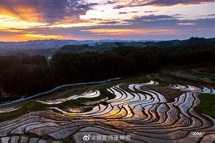 脐橙榨汁厂收脐橙多少钱一斤一斤？