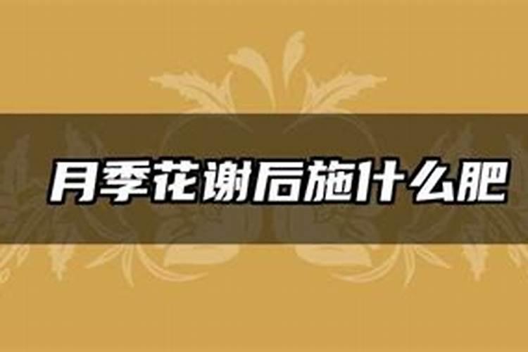 花生叶面追肥什么时候合适？追肥用量多少合适