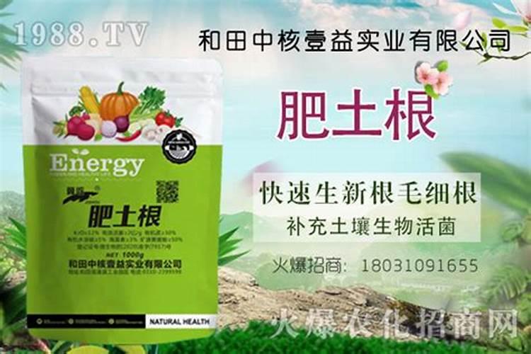 西红柿冲什么肥膨果快