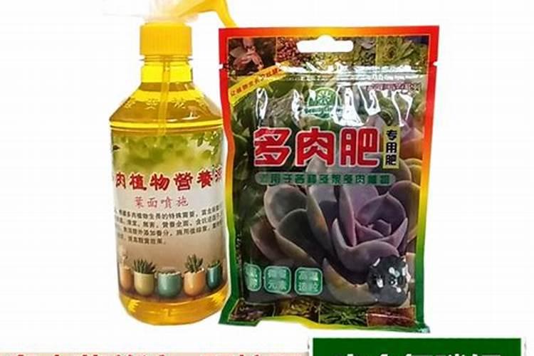 西红柿膨果肥用什么肥最好