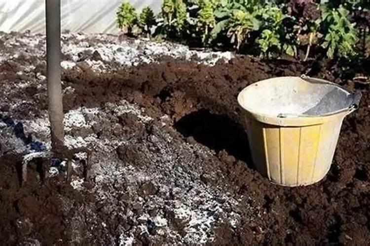 如何有效的防止书籍被虫蛀？