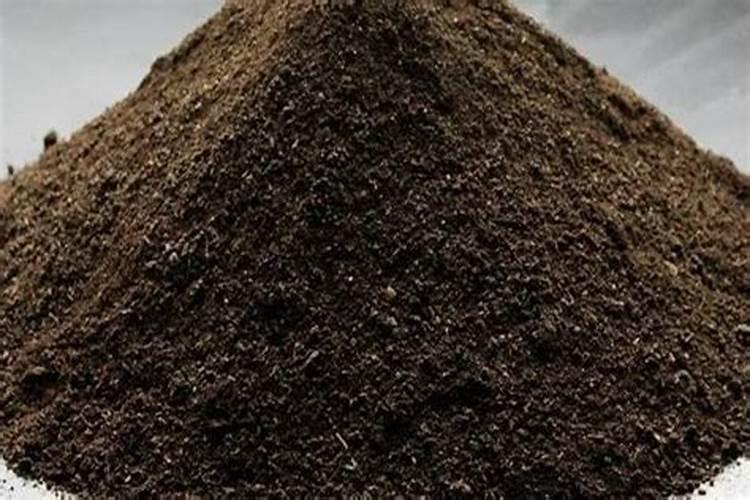 含氮量最高的氮肥是什么