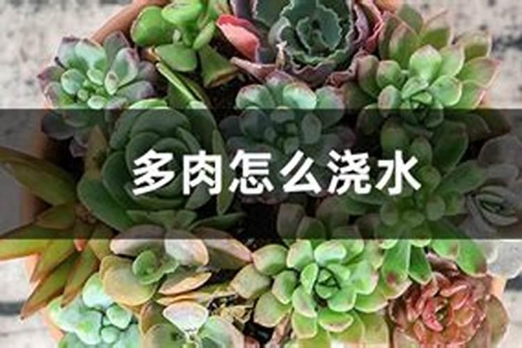 哪些肥料含氮肥多