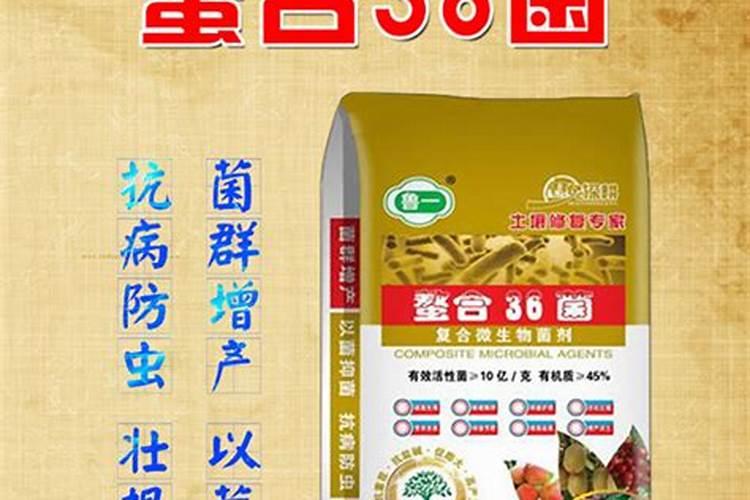 新疆地区冬麦冬灌如何施肥