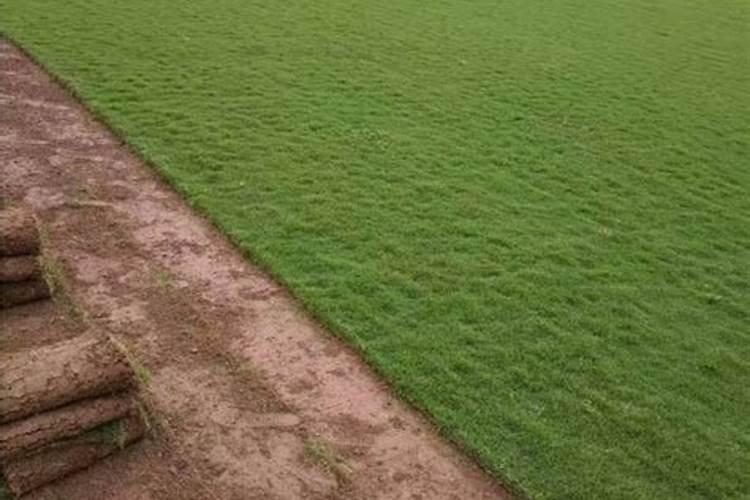 硼酸钙的溶解度是多少？