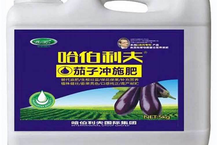 茄子二次生长技术