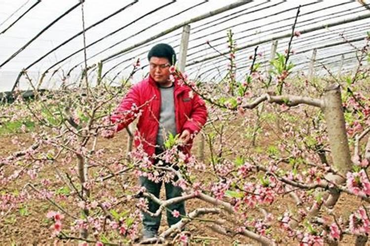 氯酸钾制取氧气的化学方程式
