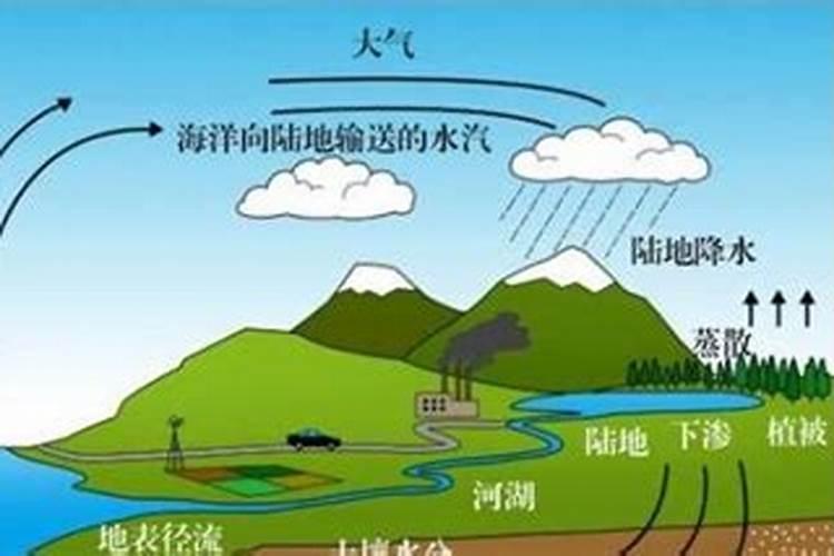 为什么西红柿和黄瓜不是水果