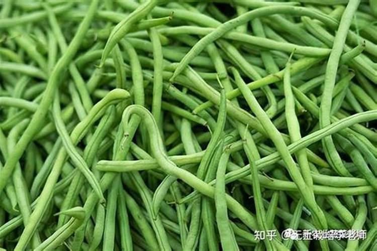 副产氯化钾生产厂家