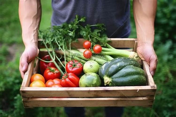 葡萄开花前施什么肥葡萄开花前怎么施肥
