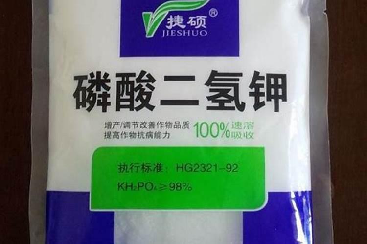 吊兰用什么肥料好