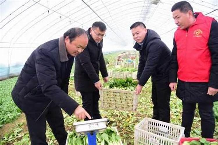 开封混凝土密封固化剂地坪材料厂家