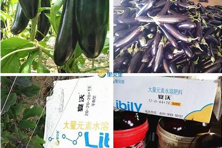 果树花后施什么肥最好